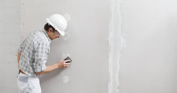 Best Drywall Texturing  in Central City, IA