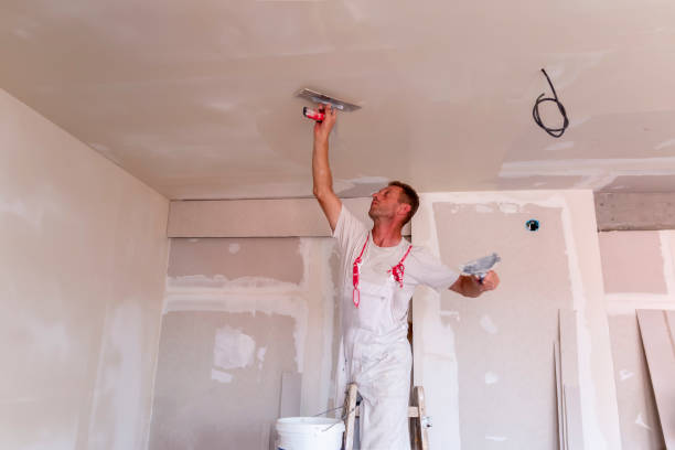 Best Ceiling Drywall Installation  in Central City, IA