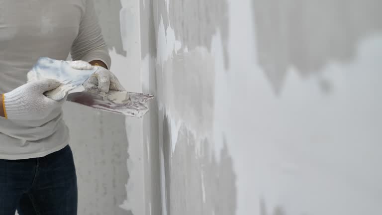 Best Wallpaper Removal and Painting  in Central City, IA